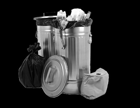 Professional skip hire service in Thornton Heath